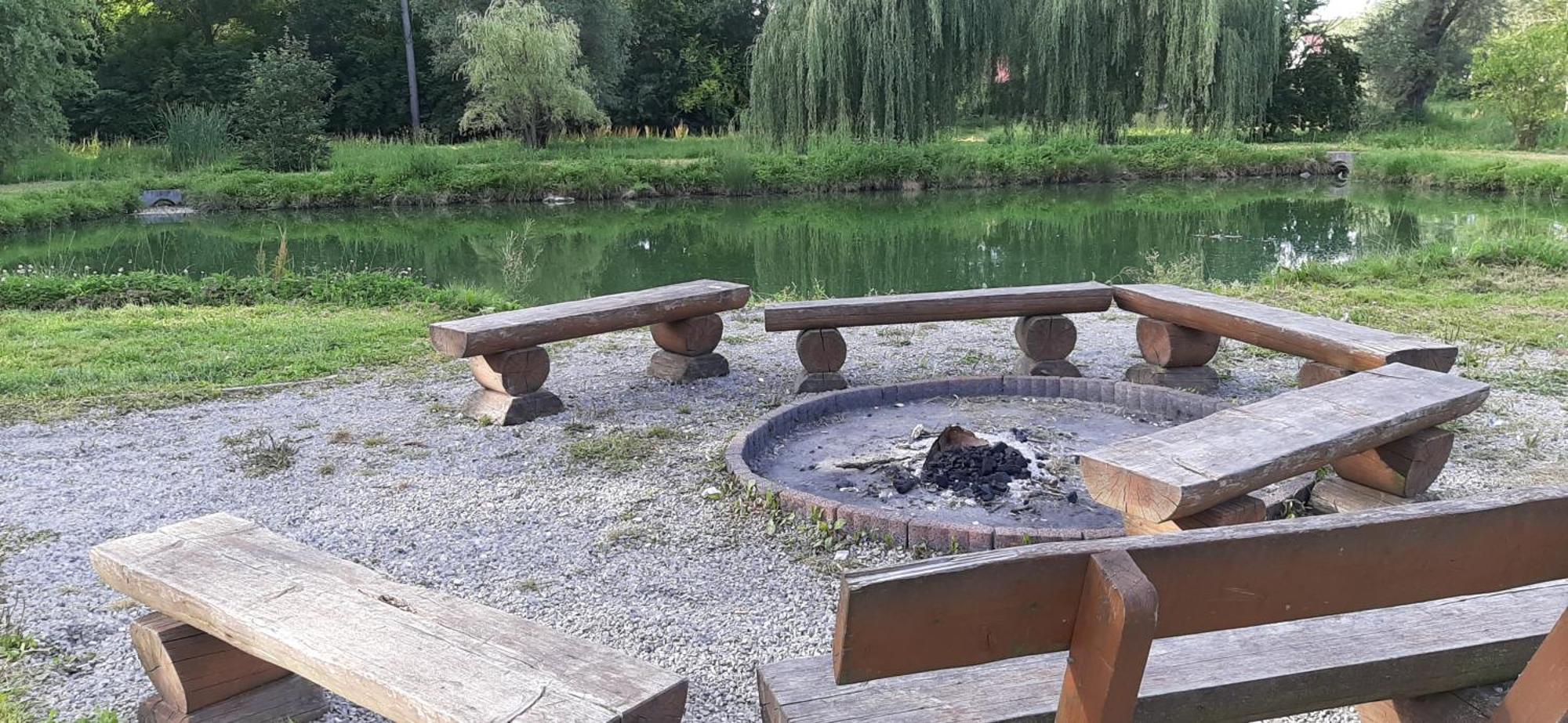 Pod Brzoza Czarnocin (Kazimierza)